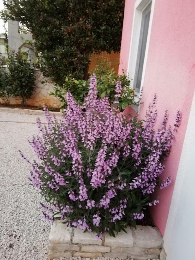 Apartmani Poljanec ヴィル エクステリア 写真